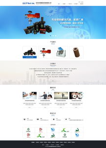 锌硕精密网站效果图 深圳专业网络公司，助力企业高效建站