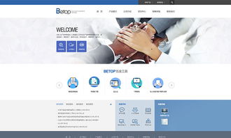 天津网站制作 工业制品官网网站制作欣赏